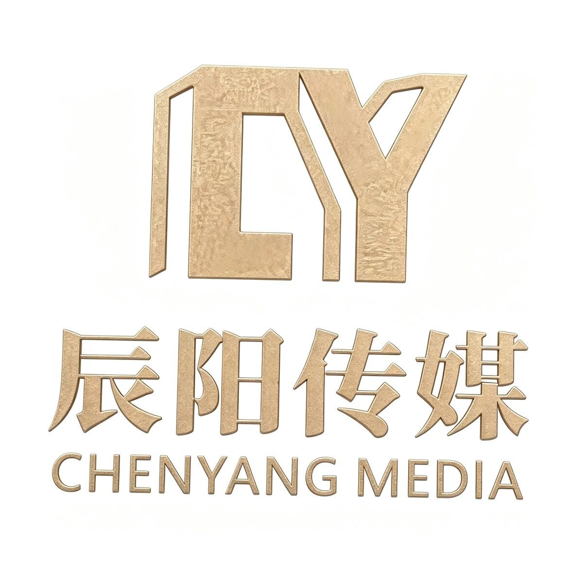 辰阳传媒